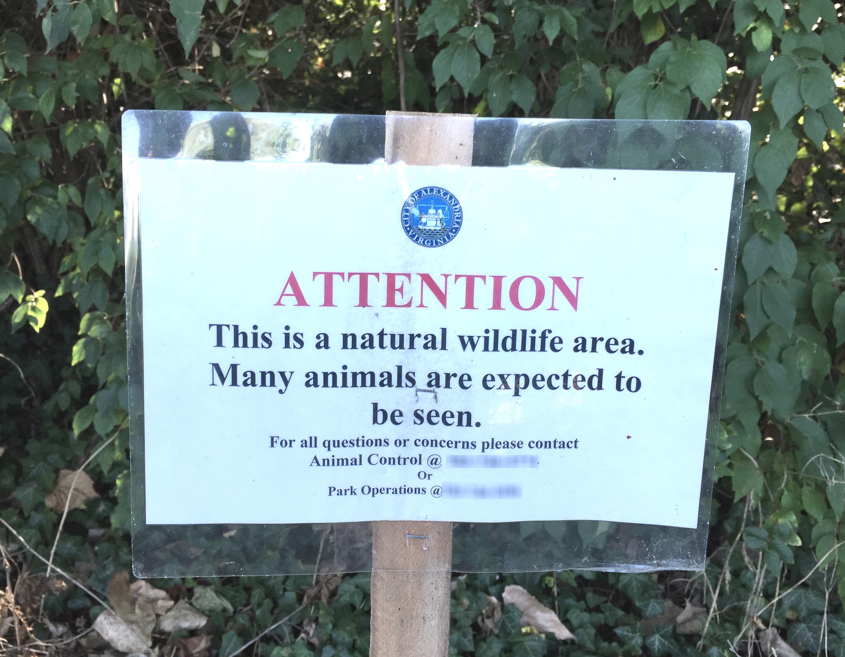 Nature Sign